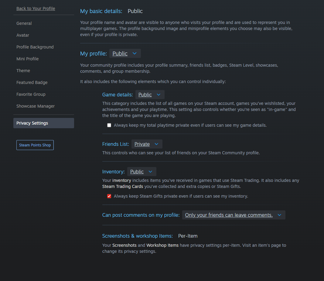 Steam Privacy Settings — Set My profile and Game details to Public